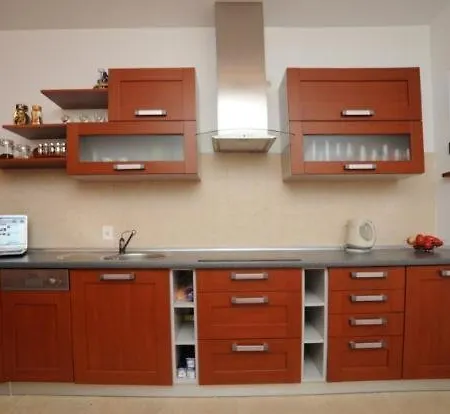 Apartament Przy Kominku 扎科帕内
