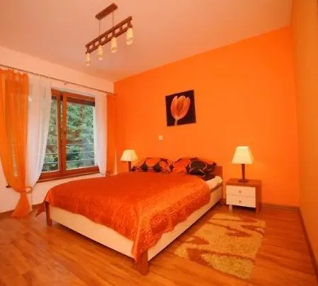 Apartament Przy Kominku Апартаменты *